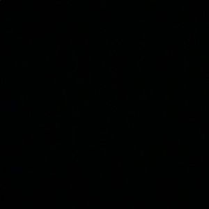 Meet your Posher, Travis